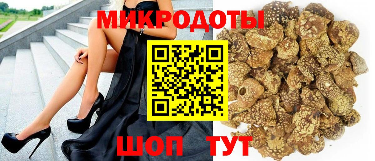 Галлюциногенные грибы Psilocybe Мыски