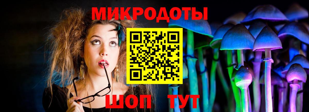 где можно купить наркотик  Вход с VPN  Мыски  Галлюциногенные грибы мицелий 